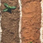 Cómo la Calidad del Suelo Impacta en el Valor de la Tierra