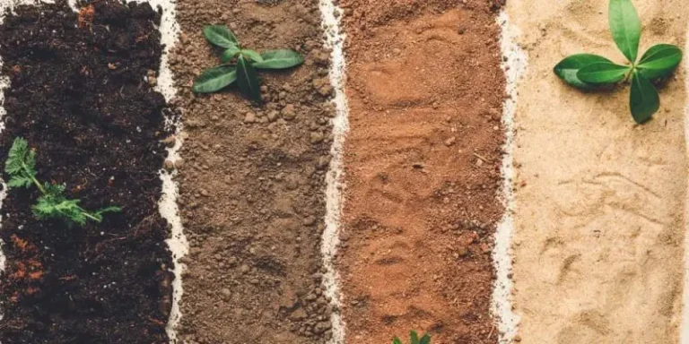 Cómo la Calidad del Suelo Impacta en el Valor de la Tierra